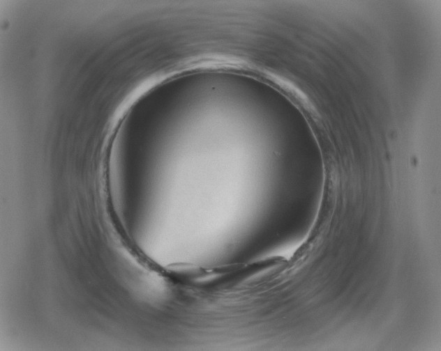 X0000080741375200612151238