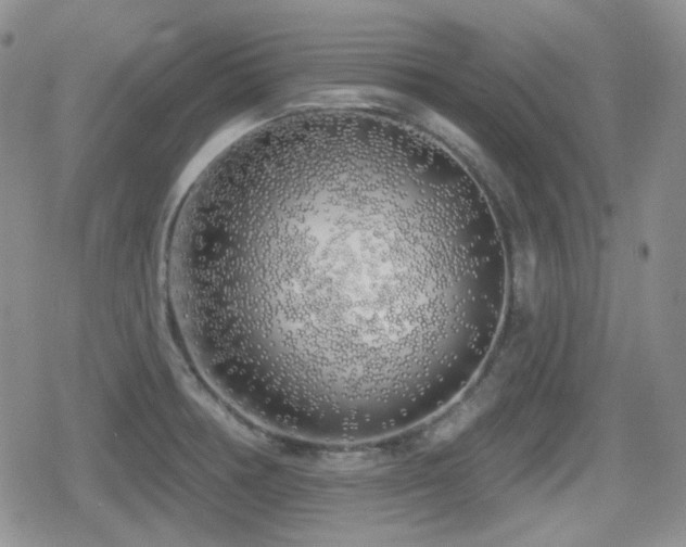 X0000080741378200612151238