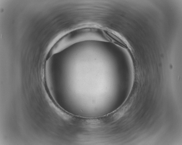 X0000080741383200612151238
