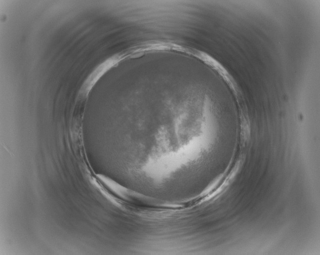 X0000080741385200612151238