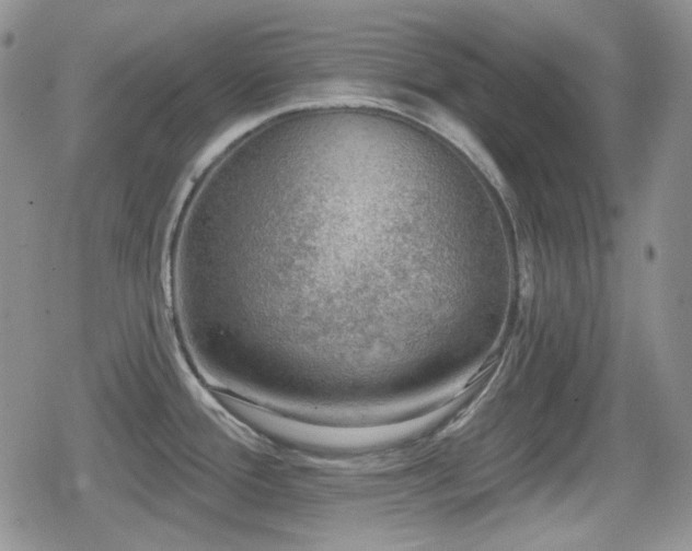 X0000080741388200612151238