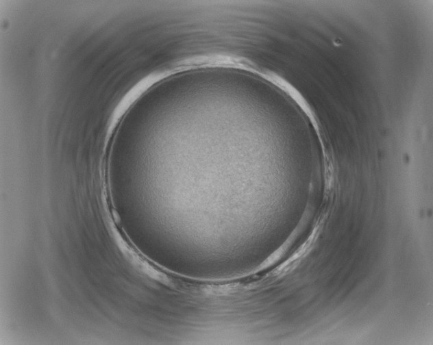 X0000080741389200612151238