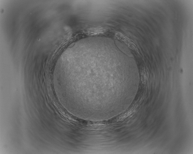 X0000080741393200612151237