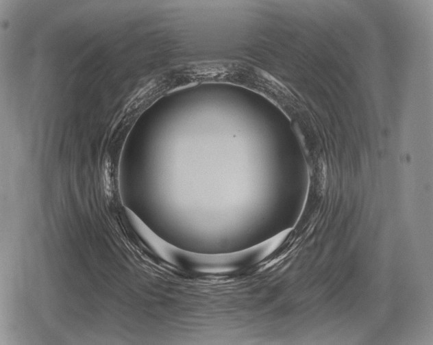 X0000080741394200612151237