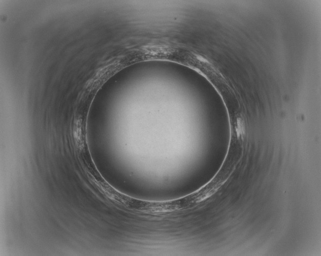 X0000080741396200612151237