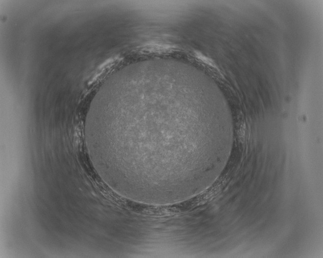 X0000080741397200612151237