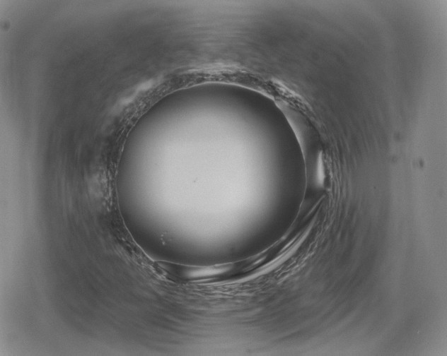 X0000080741398200612151238