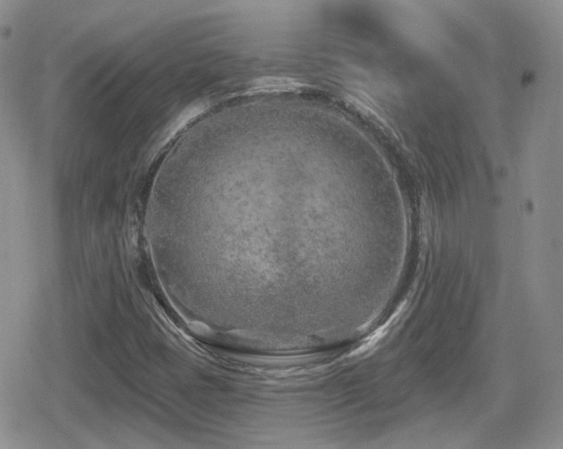 X0000080741401200612151238