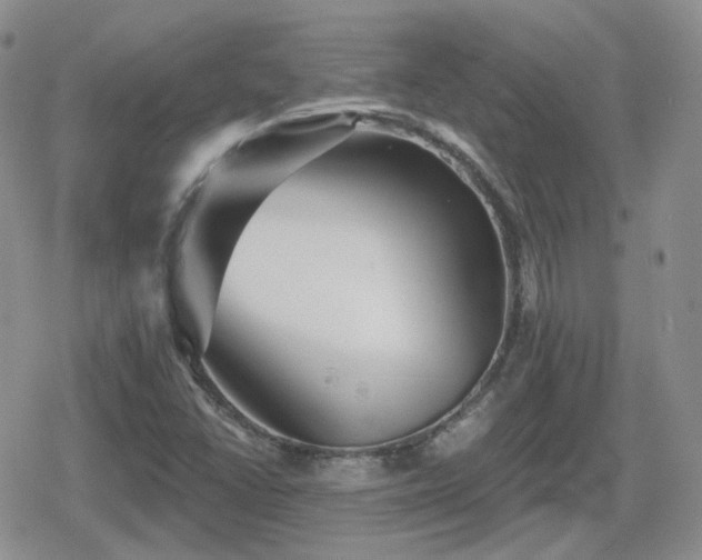 X0000080741406200612151238