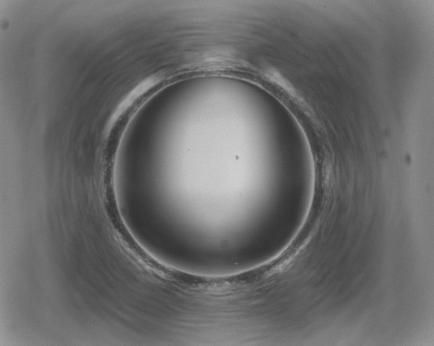 X0000080741410200612151238