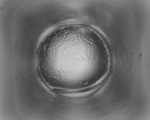 X0000080741413200612151238