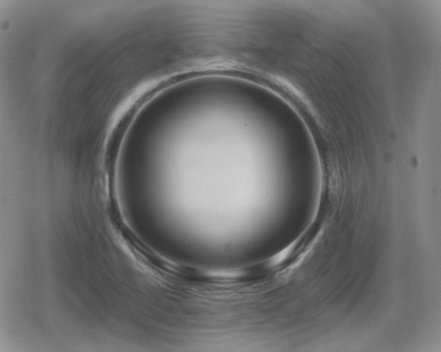 X0000080741414200612151238