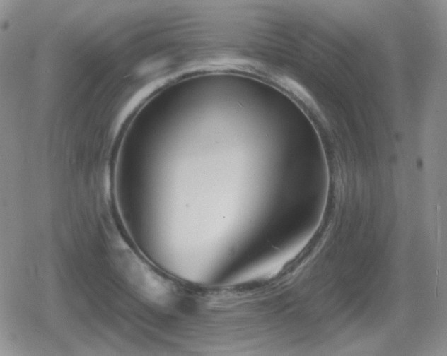 X0000080741420200612151238
