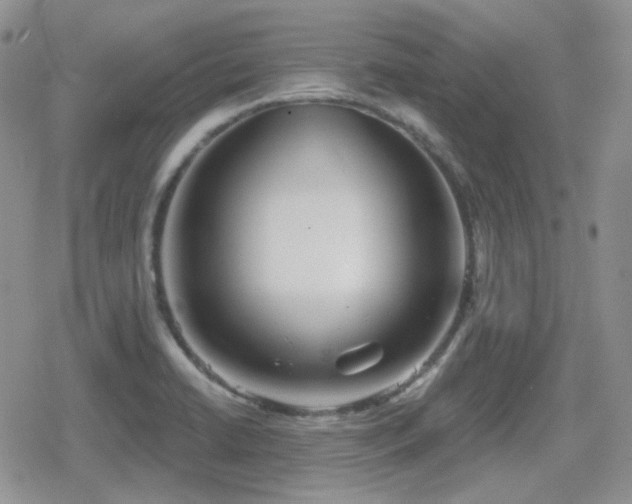 X0000080741422200612151238