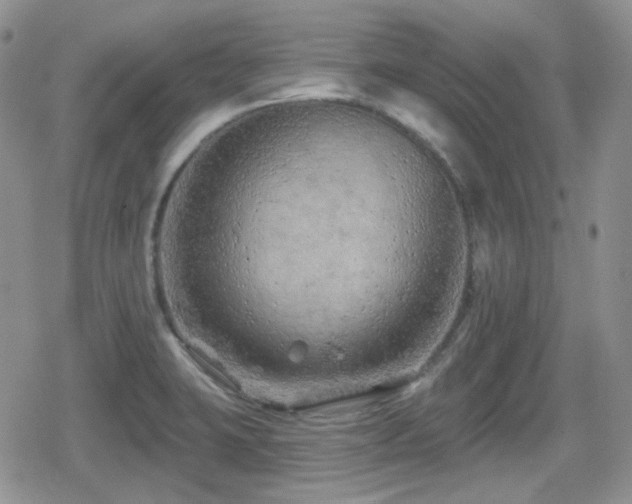 X0000080741423200612151238