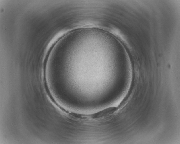 X0000080741424200612151238