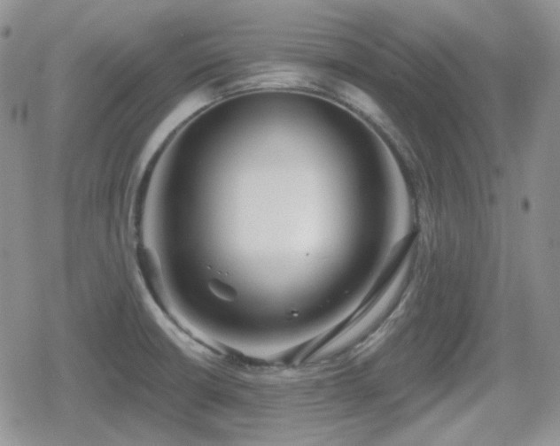X0000080741426200612151238