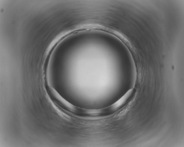 X0000080741430200612151238