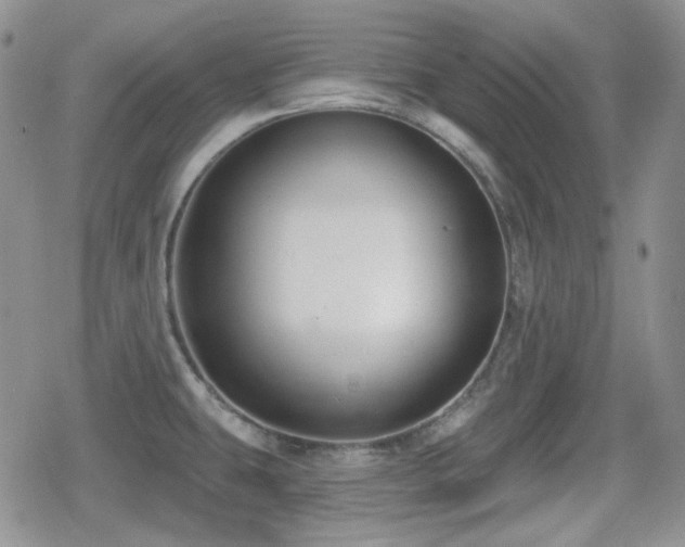 X0000080741431200612151238