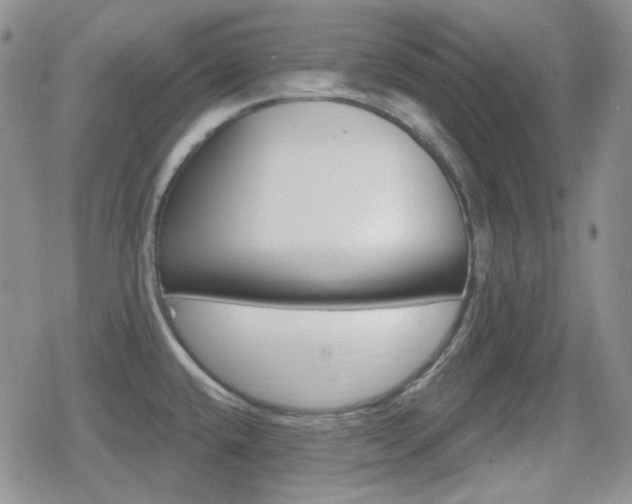 X0000080741432200612151238