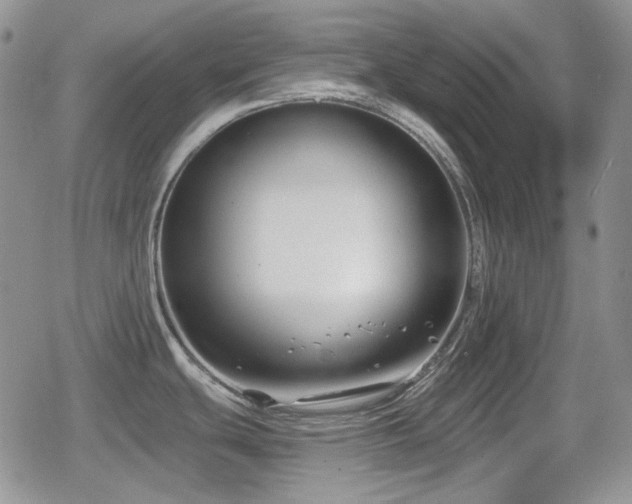 X0000080741439200612151238
