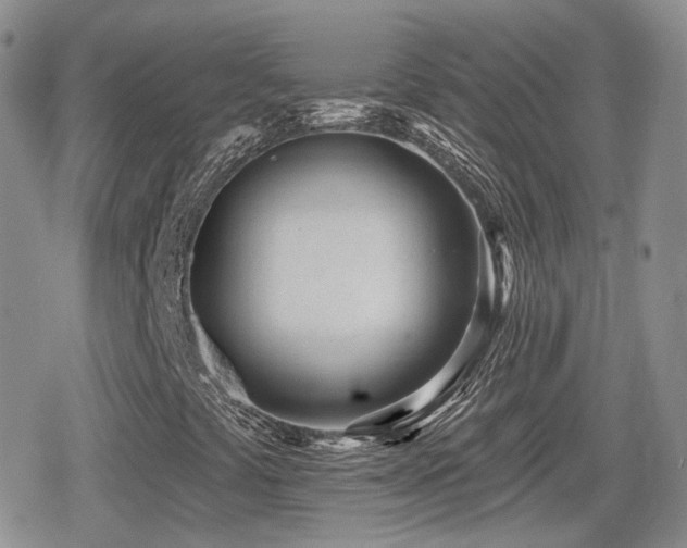X0000080741441200612151237