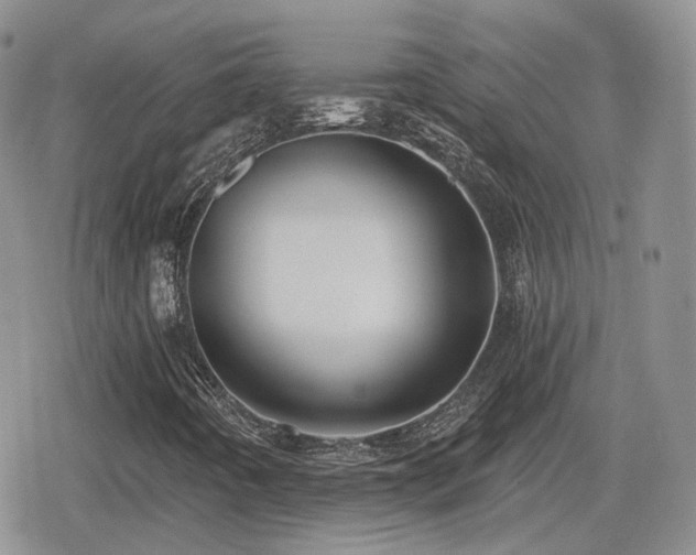 X0000080741442200612151237
