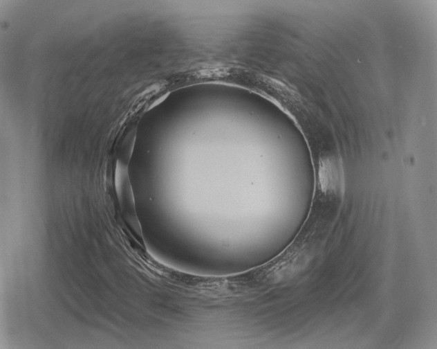 X0000080741444200612151237