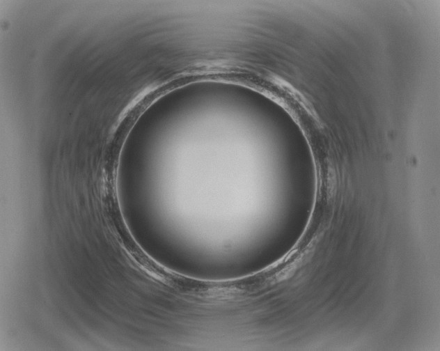 X0000080741449200612151237