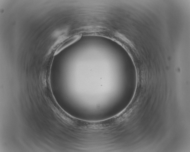 X0000080741451200612151237