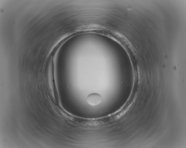 X0000080741457200612151237