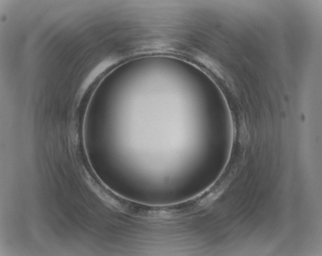 X0000080741458200612151237