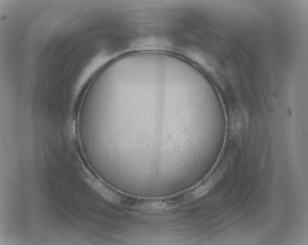 X0000080741462200612151237