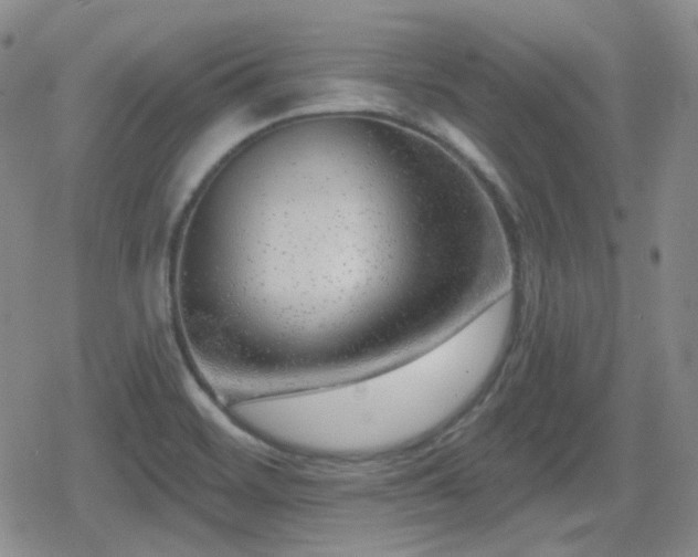 X0000080741468200612151237