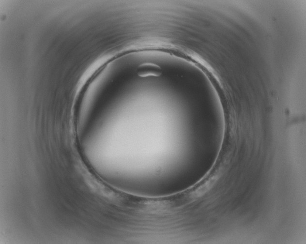 X0000080741469200612151237