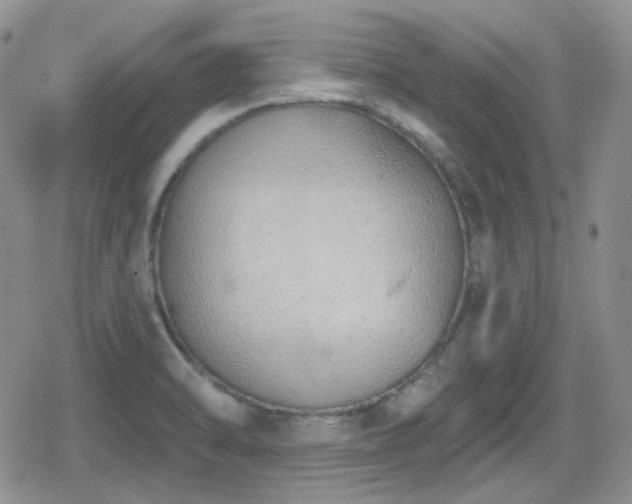 X0000080741470200612151237