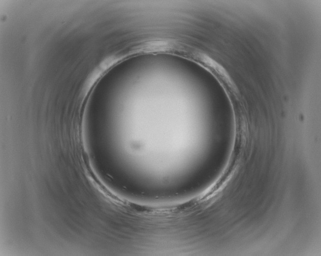 X0000080741473200612151237