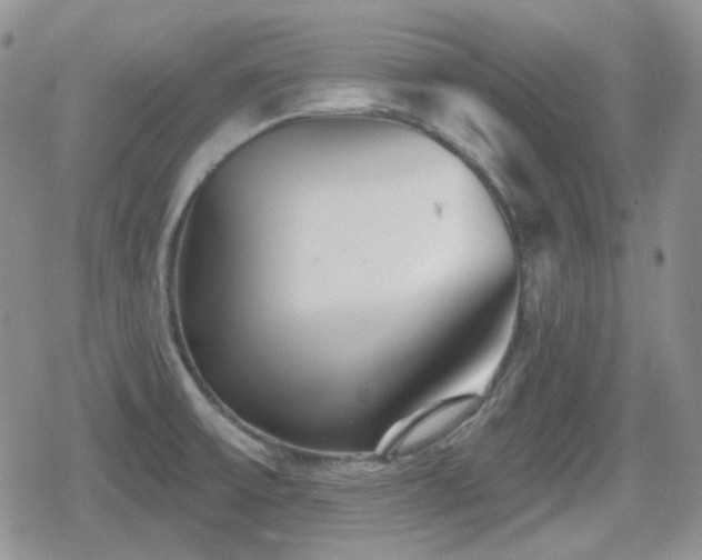 X0000080741475200612151237