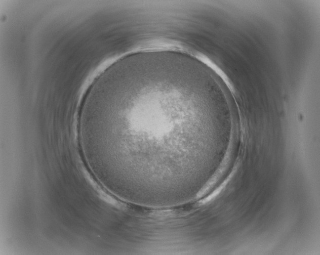 X0000080741477200612151237