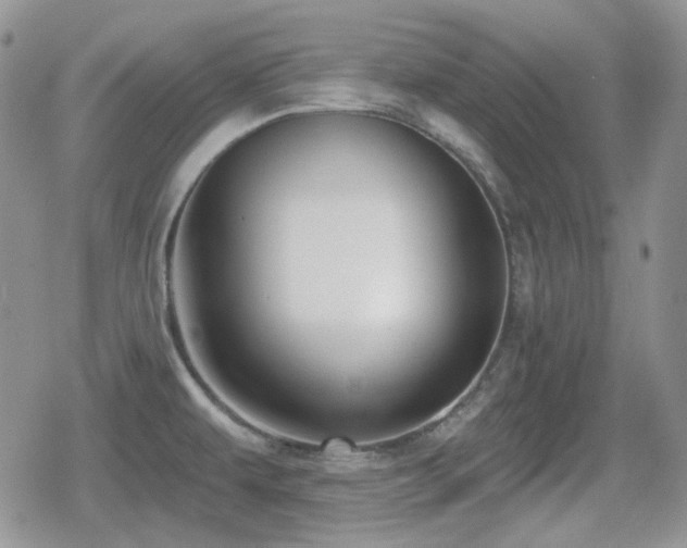 X0000080741479200612151237
