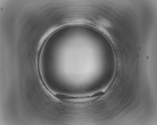 X0000080741480200612151237