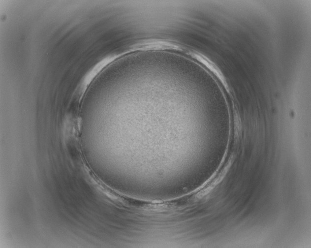 X0000080741481200612151237