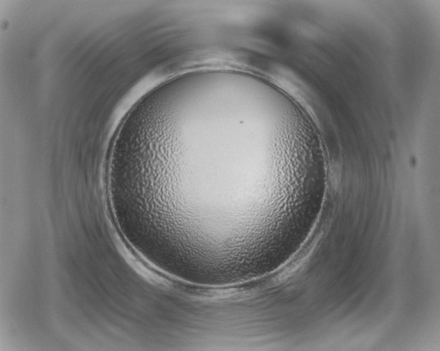 X0000080741482200612151237
