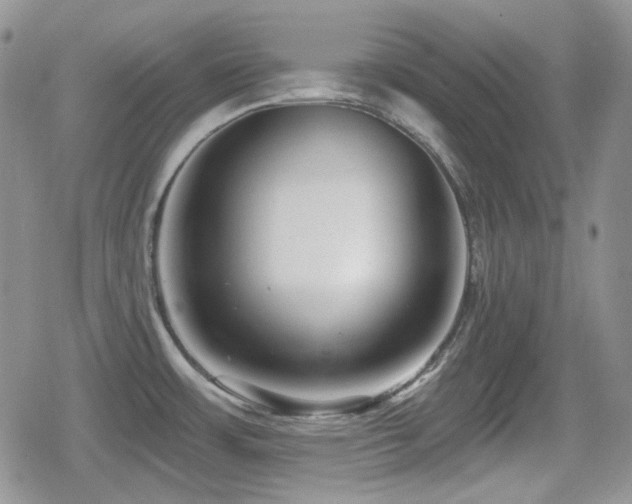 X0000080741483200612151237