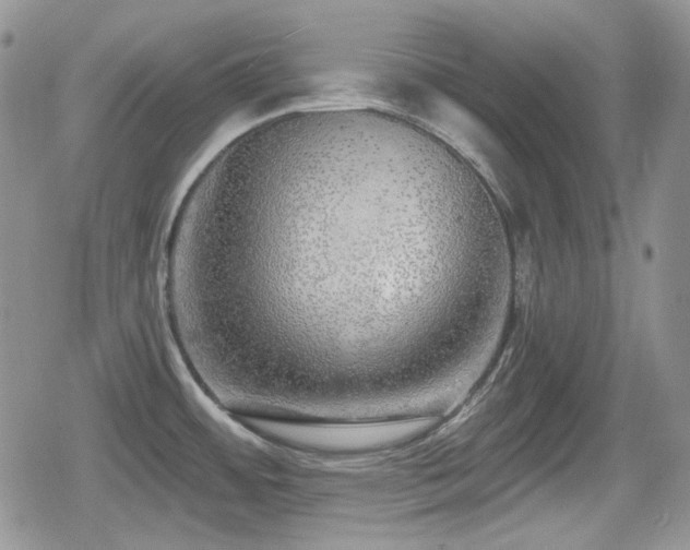 X0000080741484200612151237