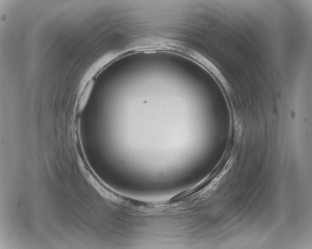 X0000080741485200612151237