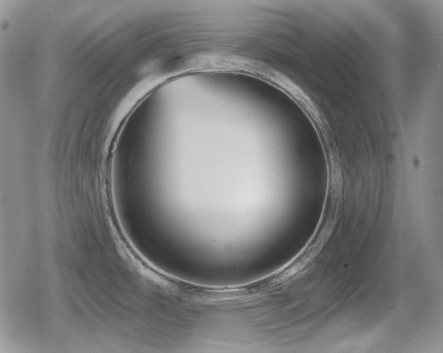 X0000080741486200612151237