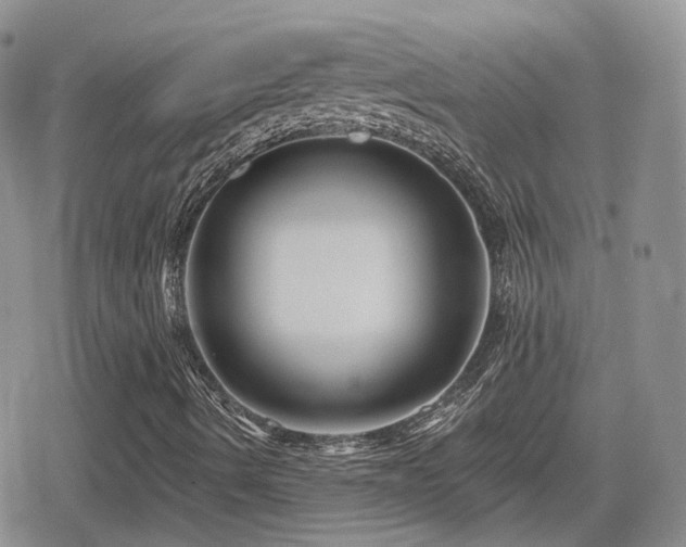 X0000080741490200612151236