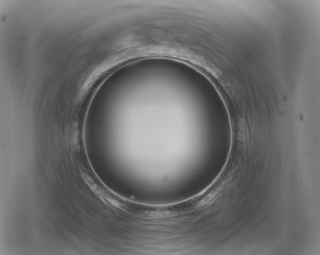 X0000080741499200612151236