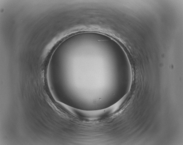X0000080741503200612151236